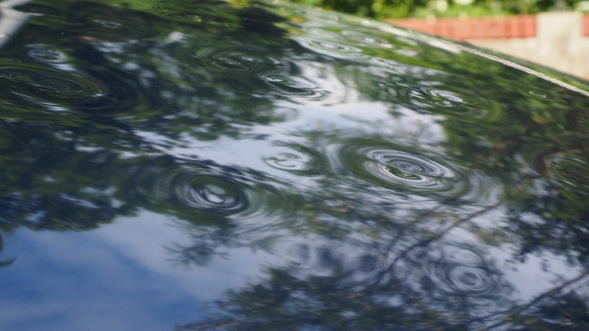 Hayat Sigortası: Önemli Detaylar ve Tavsiyeler