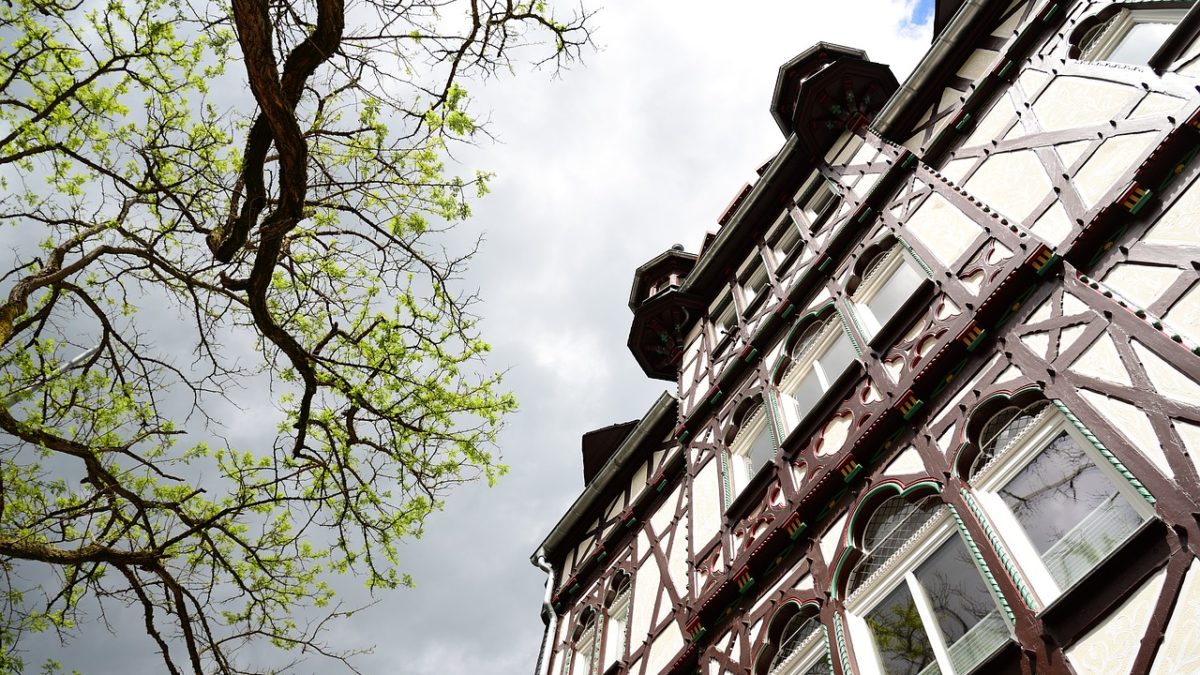 Kati Raporu: Almadan Önce Bilmeniz Gerekenler