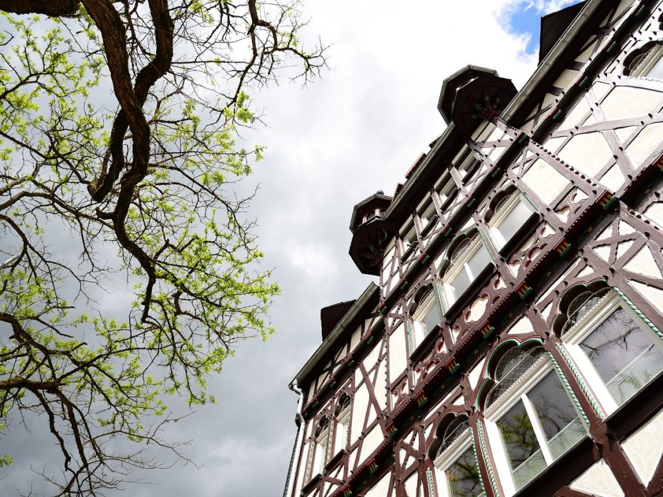 Kati Raporu: Almadan Önce Bilmeniz Gerekenler